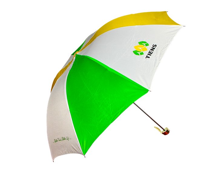 Зонт "Тяньши"